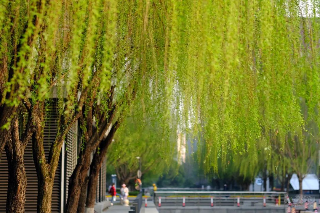 外国投资者通过外汇互换参与人民币套利交易