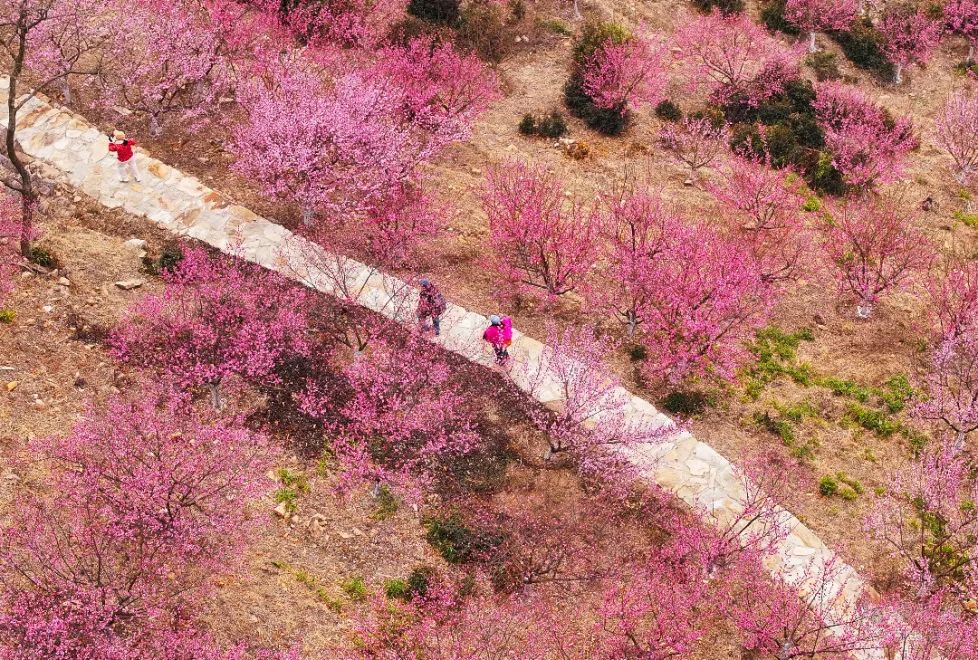 龙年春节假期首日旅游火热 国内爆棚海外急升丨消费跃龙门